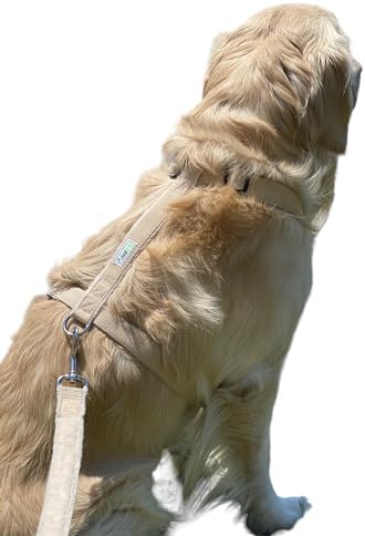hemp for pets