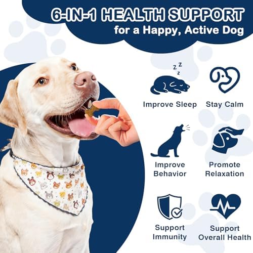 2 Pack Hemp Calming Chews for Dogs 300 Count with Melatonin Dog Anxiety Chews Stress Relief Sleep Treats for All Dogs-Fireworks Thunder, Barking, Separation Vet Approved Made in USA Chicken Flavor