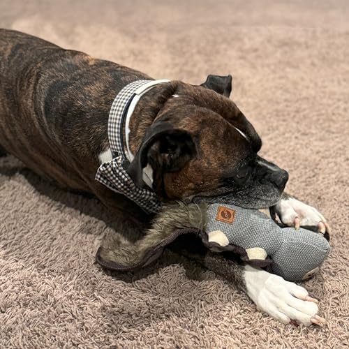 SPOT Dura-Fused Hemp Friends - Dog Toy Made with Hemp Material, Fused with Tricot for Durablity, with Furry Plush Tail and Squeaker, Great for Light to Moderate Chewers - 18" Assorted Styles, 1 Piece