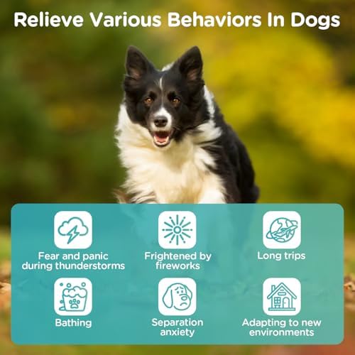 Tekola Hemp Calming Chews for Dogs Anxiety Relief Dog Calming Chews Natural Ingredients Dog Calming Aid with Separation, Barking and Sleeping, Promote Relaxation, Reduce Stress